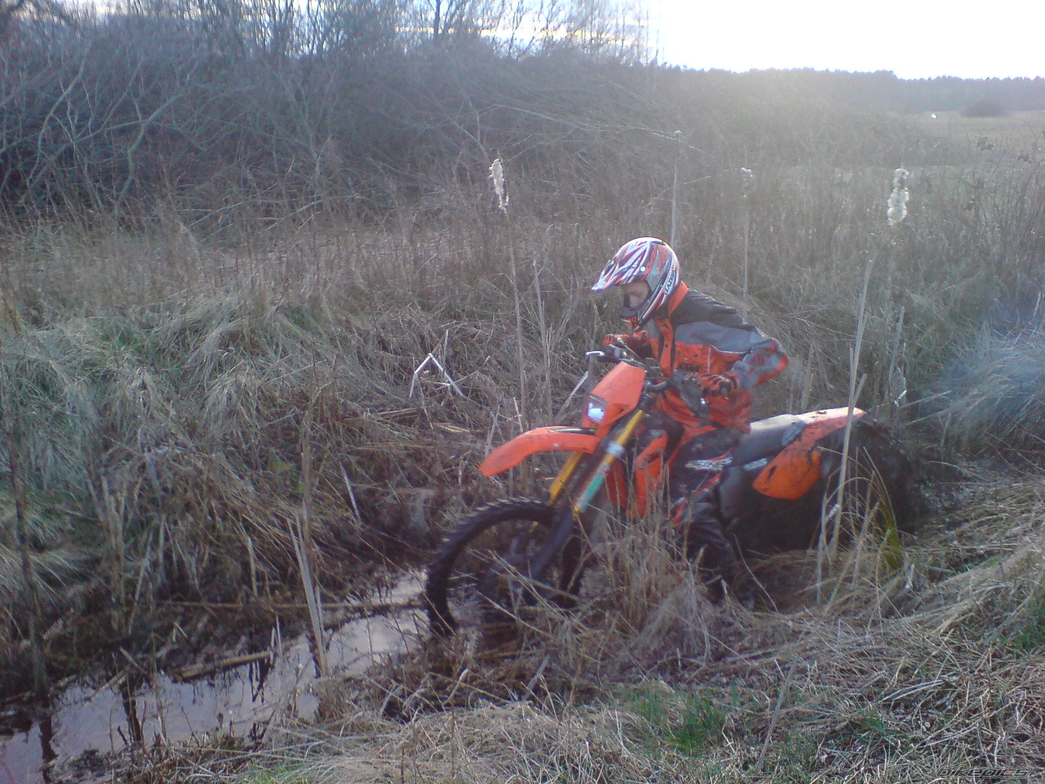 Bike Photo 1217764