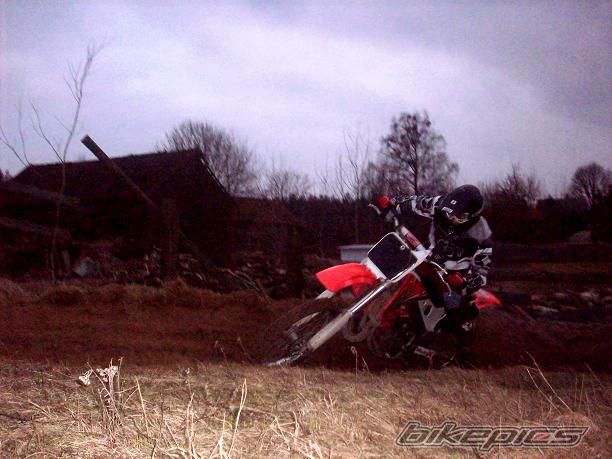 Photo 1217774