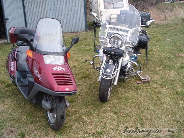 Bike Photo 1217856