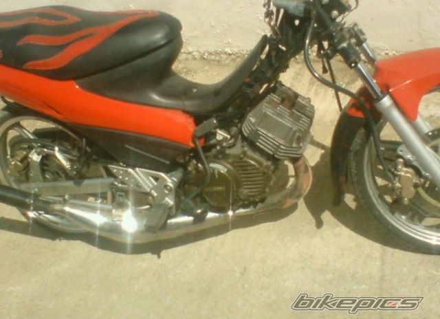Photo 1217858