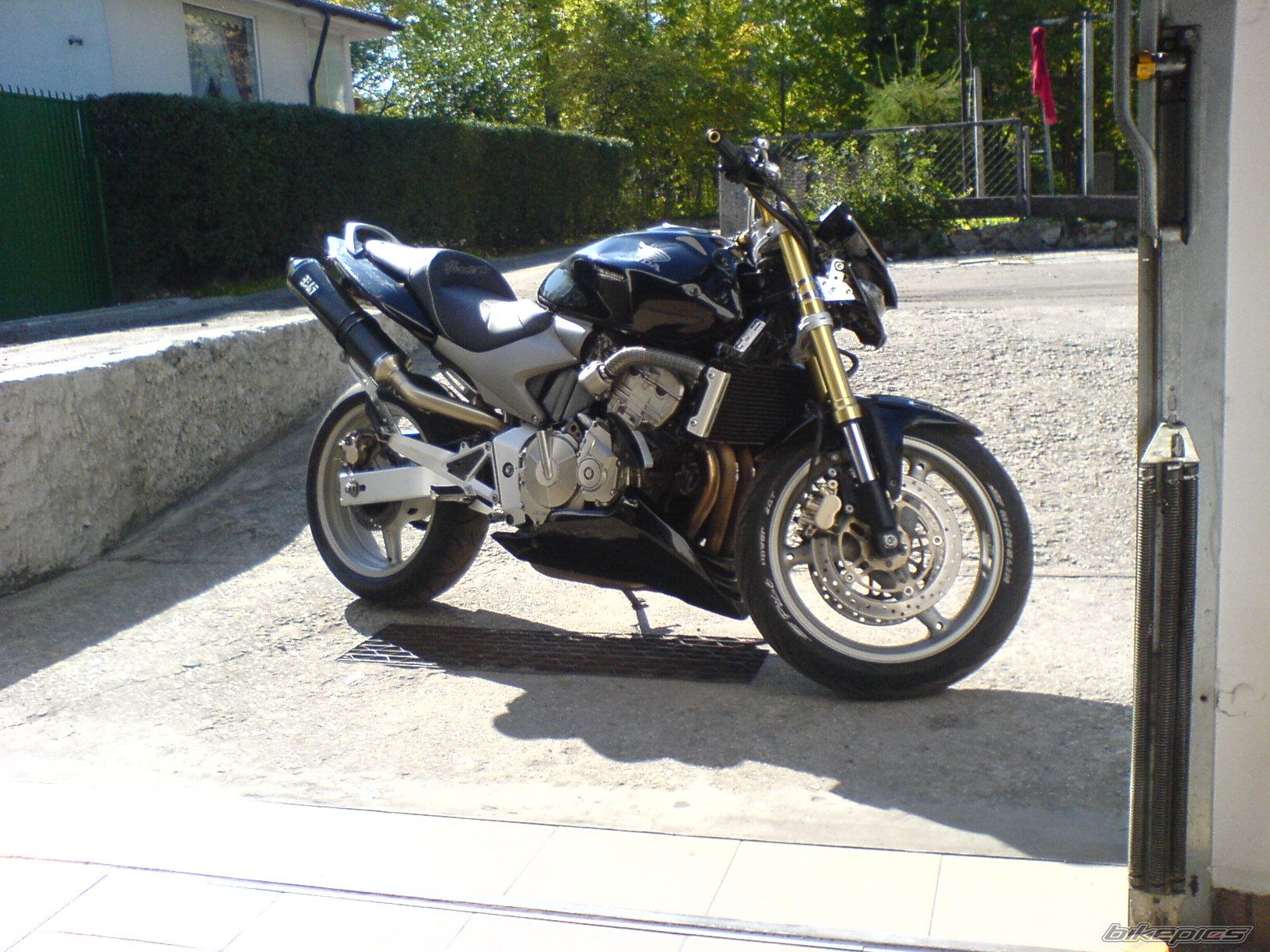 Photo 1217918