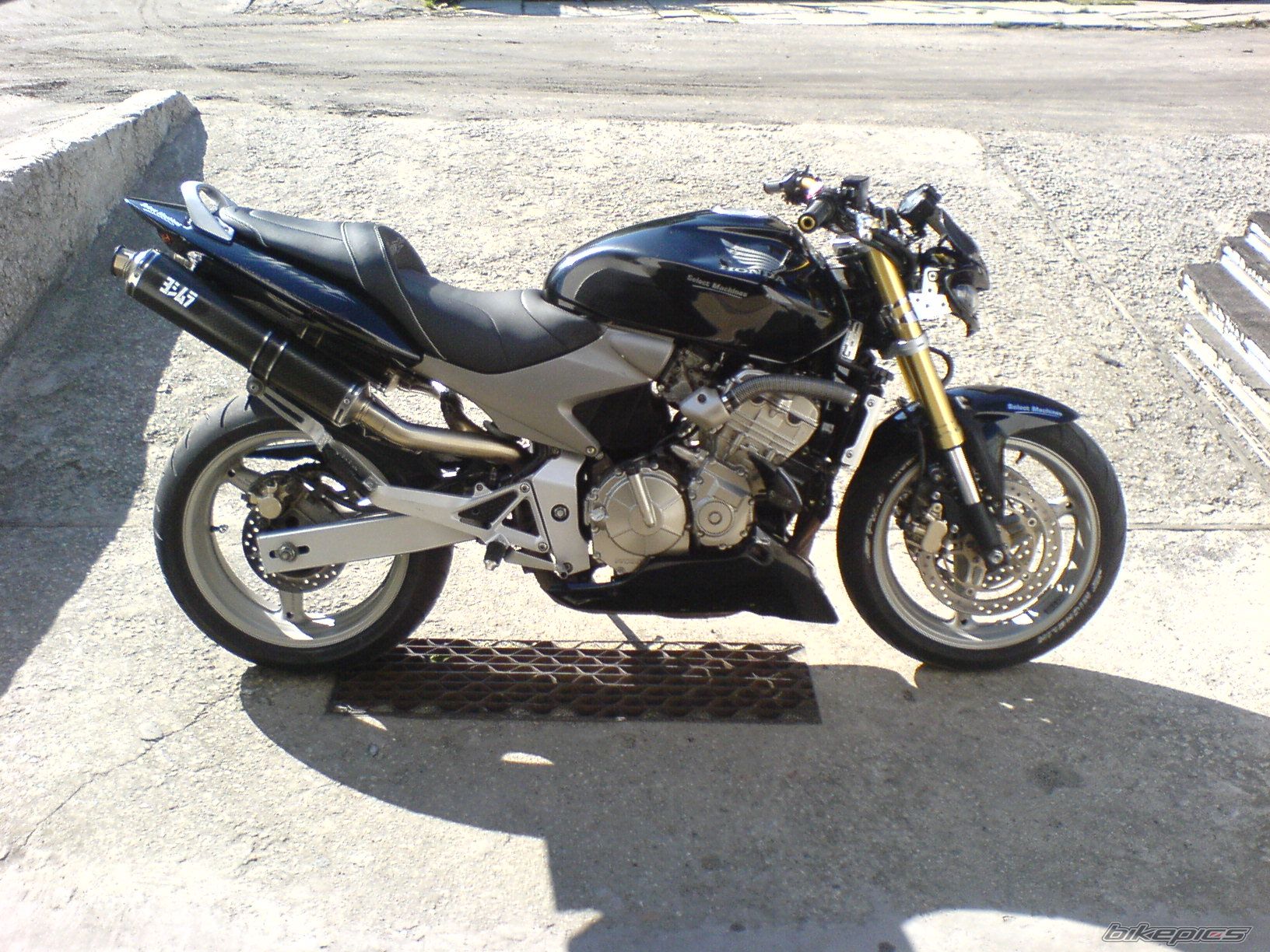 Photo 1217921