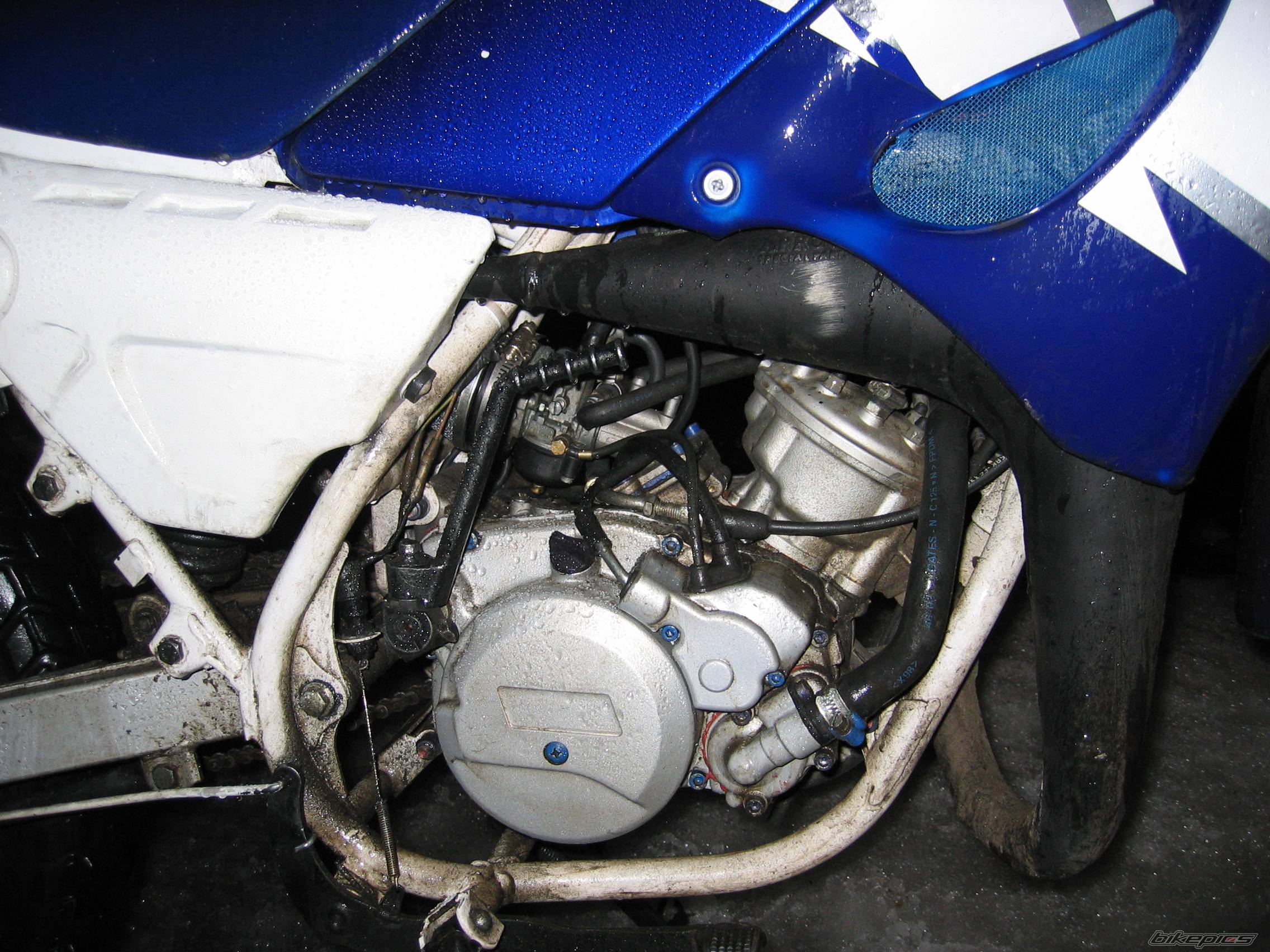 Photo 121793
