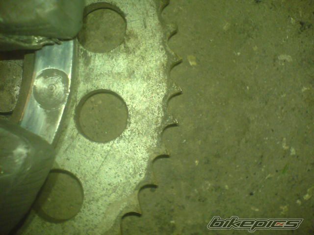 Photo 1217991