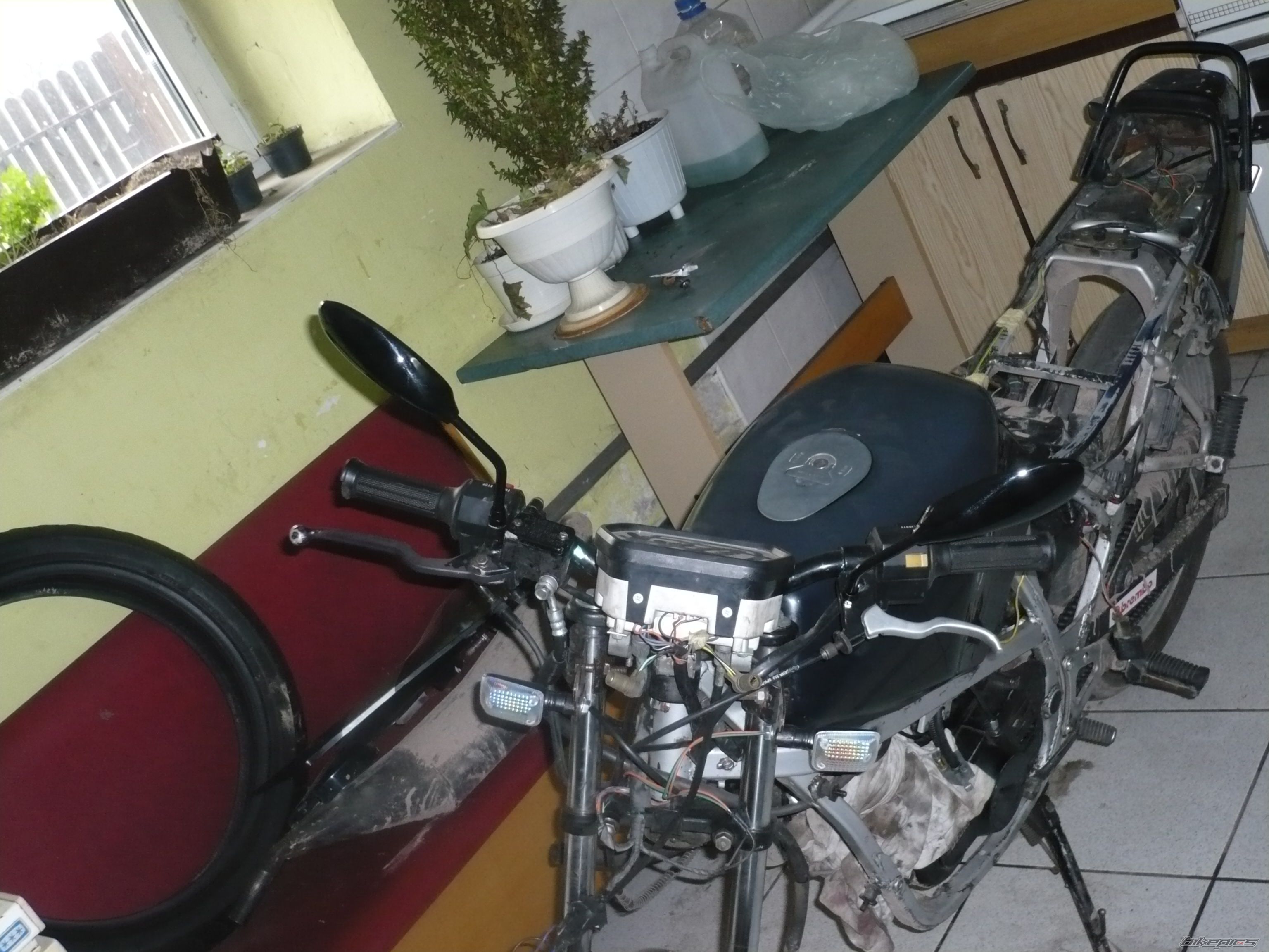 Photo 1218054