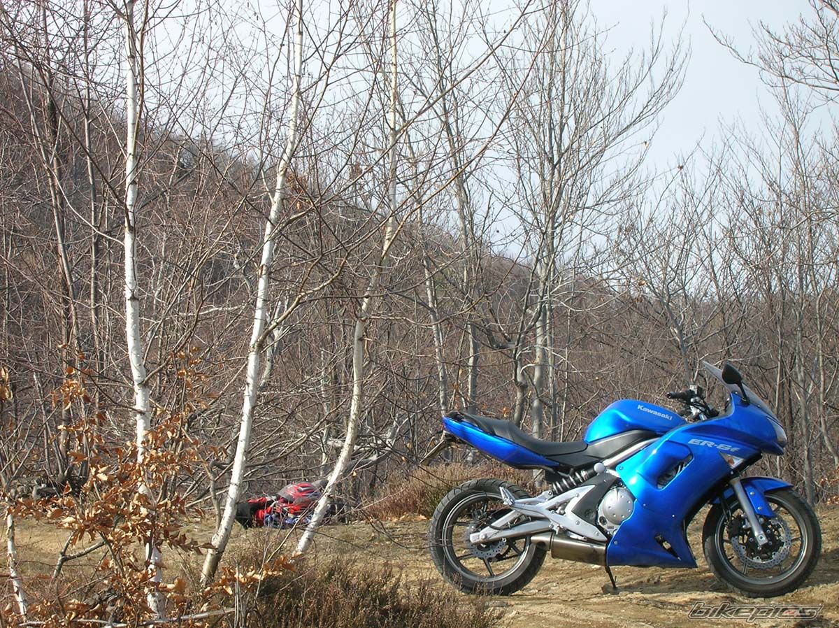 Photo 1218321