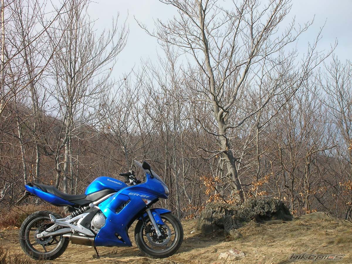Photo 1218323
