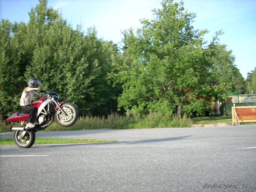 Photo 1218340