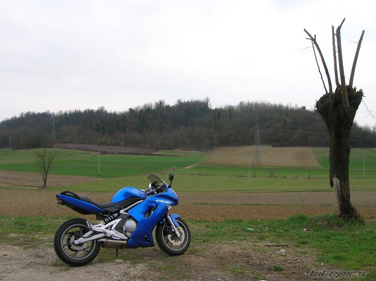 Photo 1218354