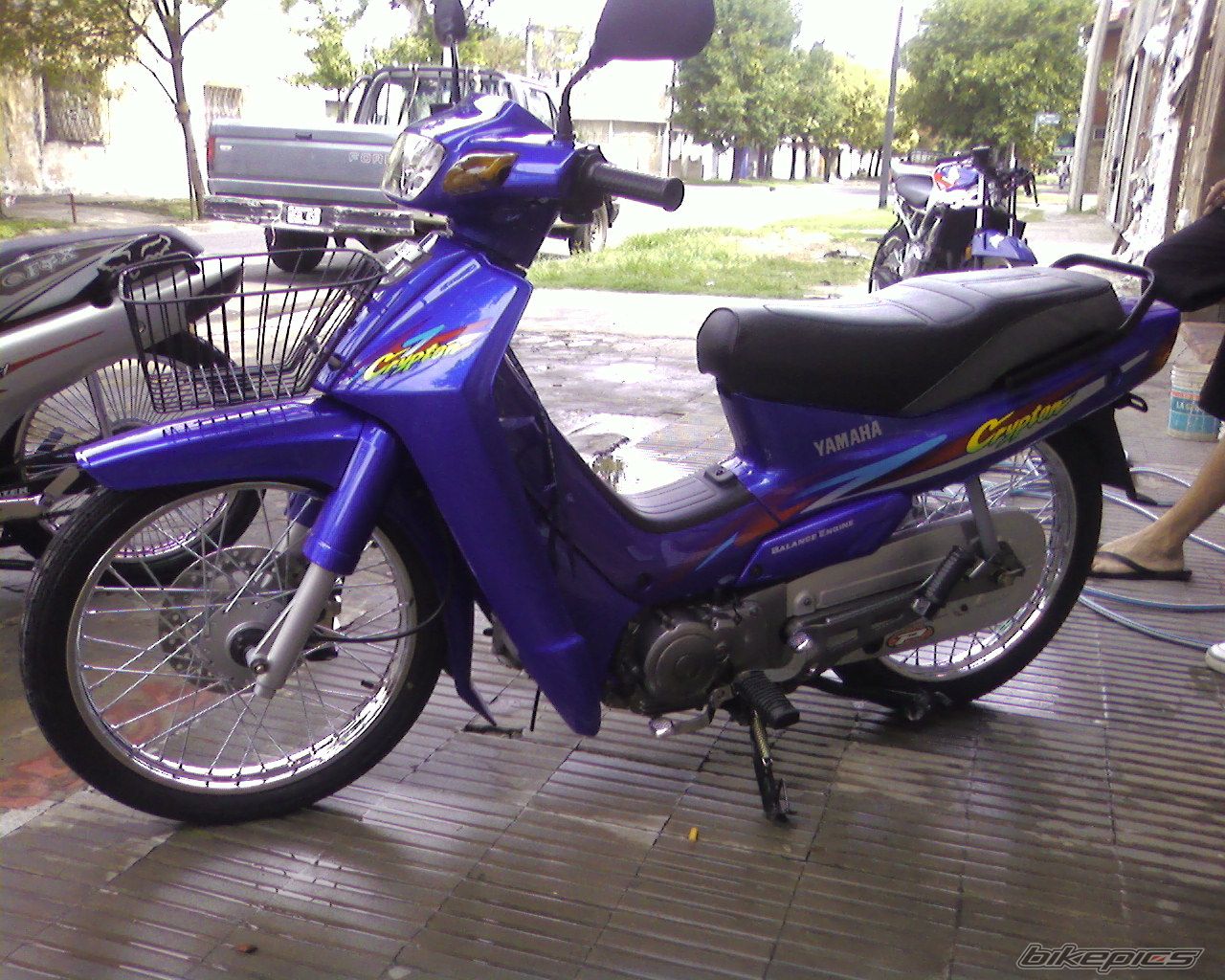 Photo 1218494