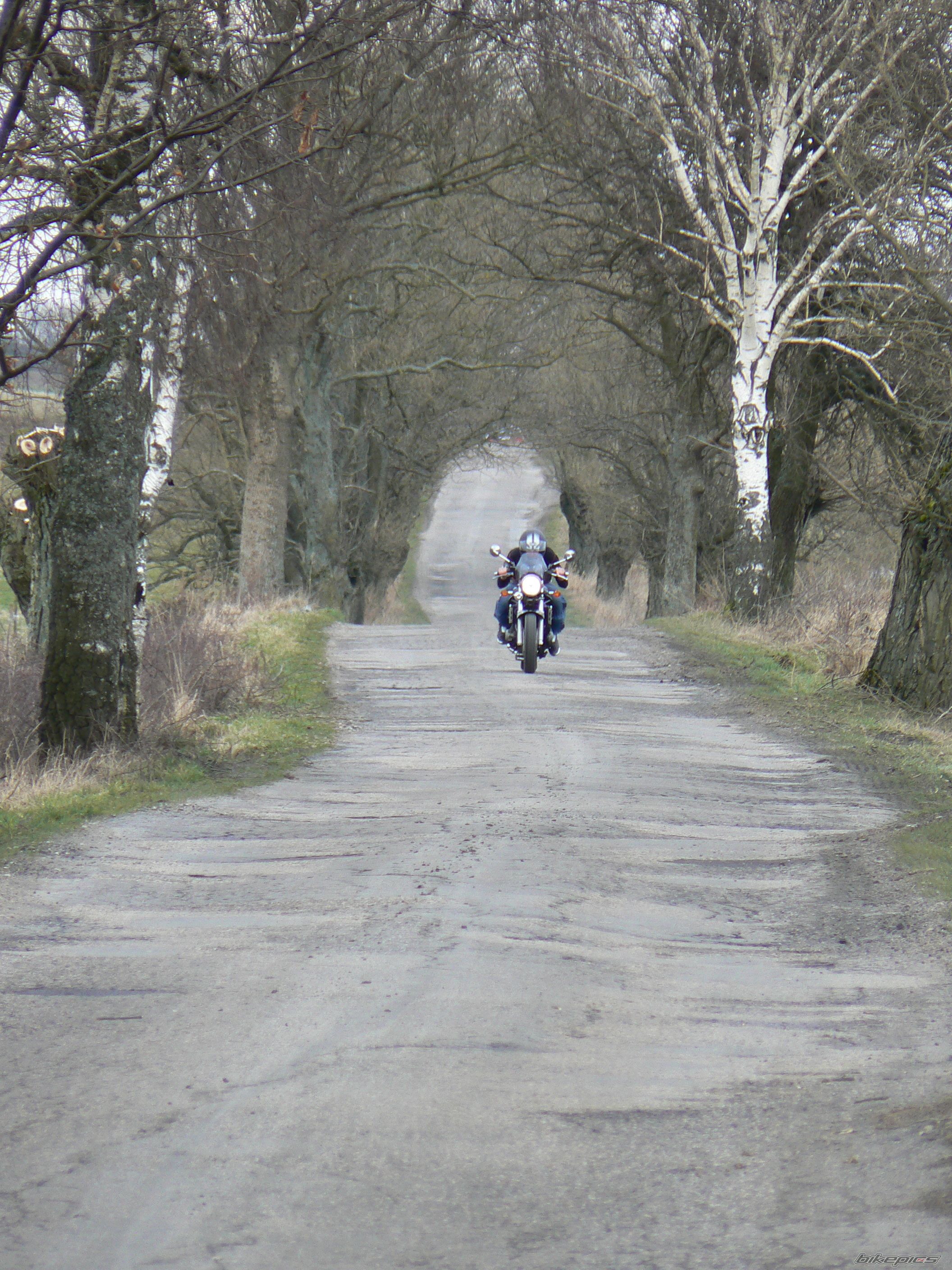 Photo 1218505