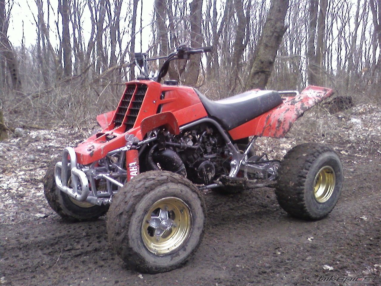 Photo 1218599