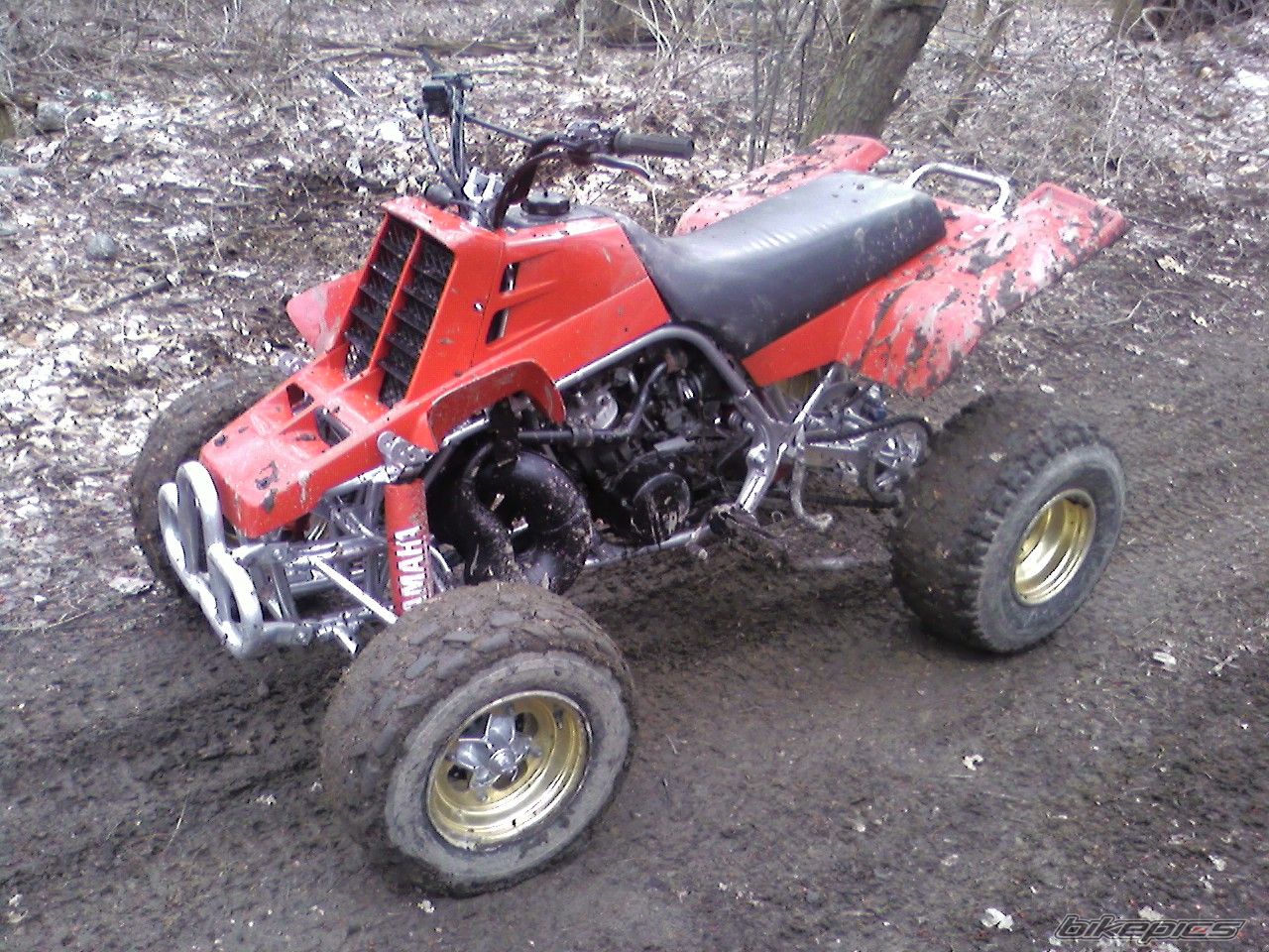 Photo 1218601