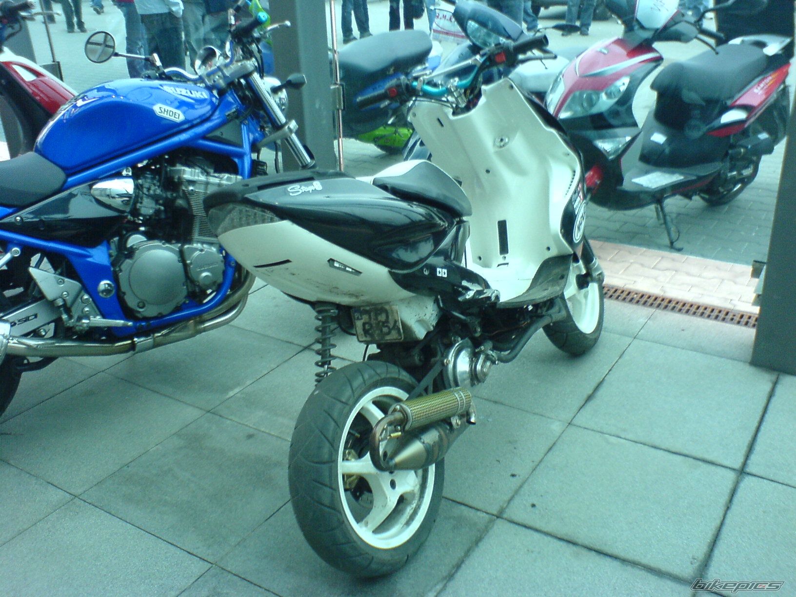 Photo 1218719