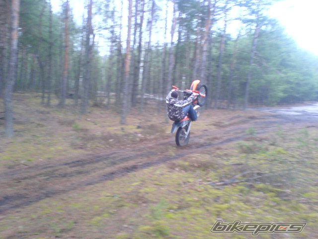 Photo 1218741