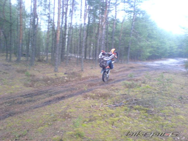 Photo 1218743
