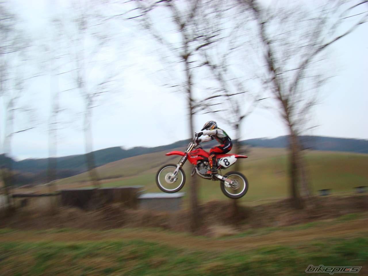 Photo 1218754