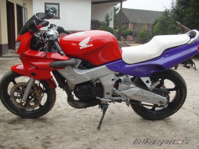 Photo 1218773