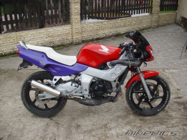 Photo 1218775