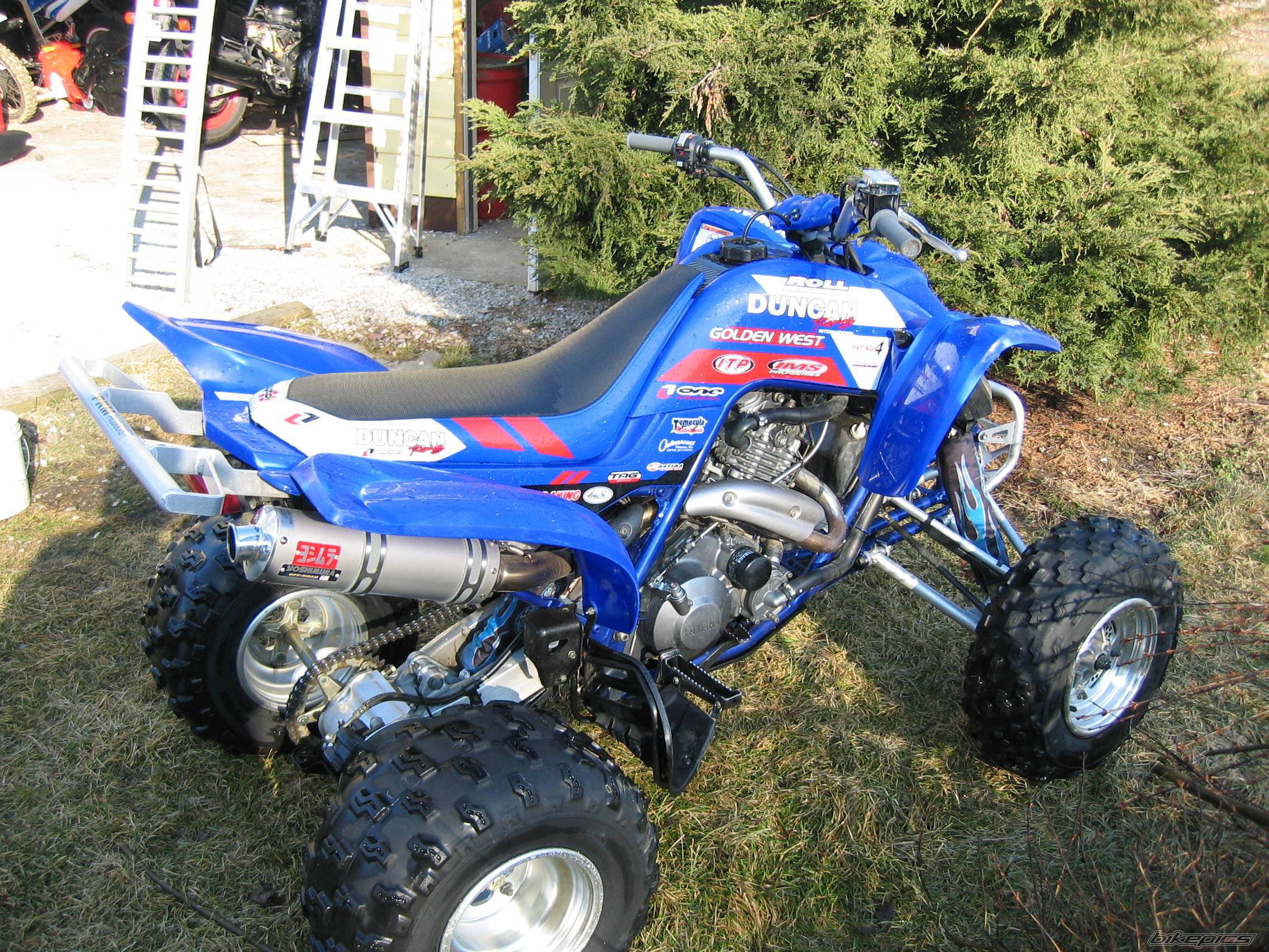 Photo 121878