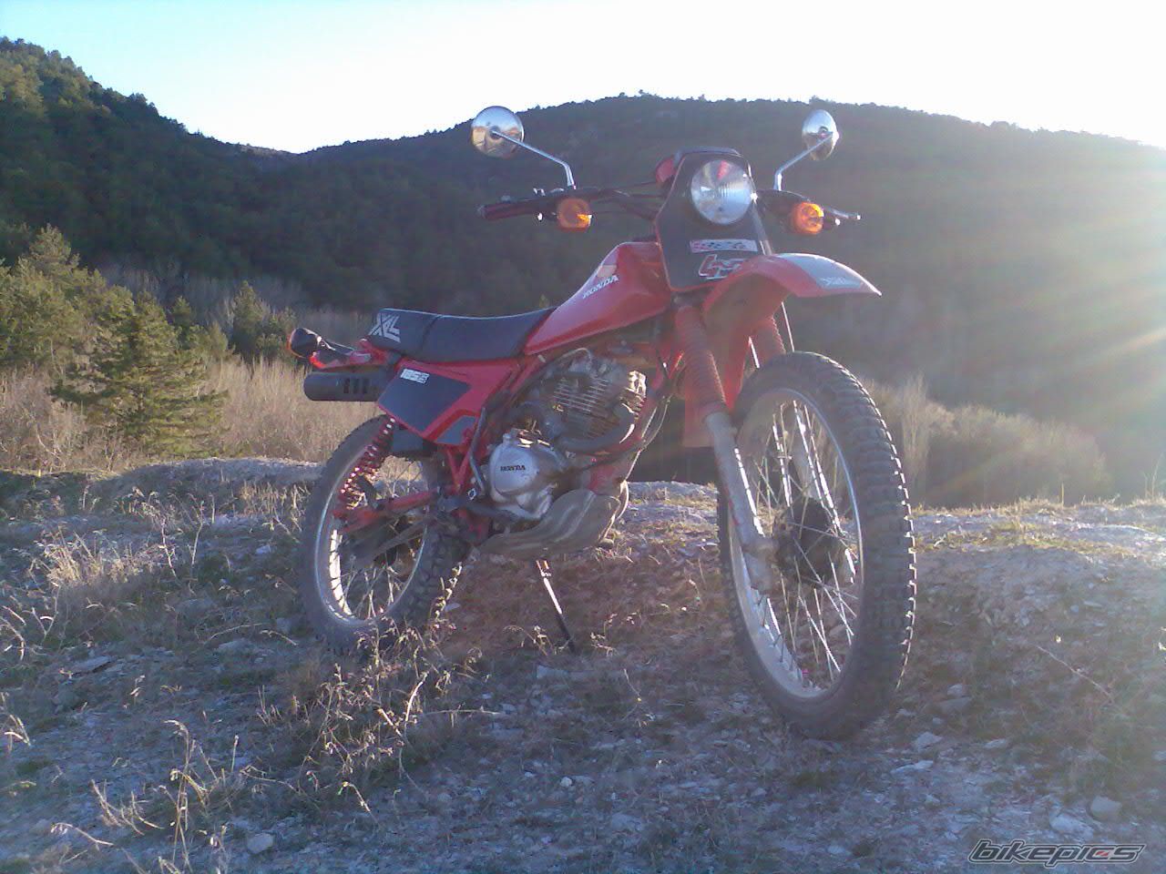 Photo 1218944