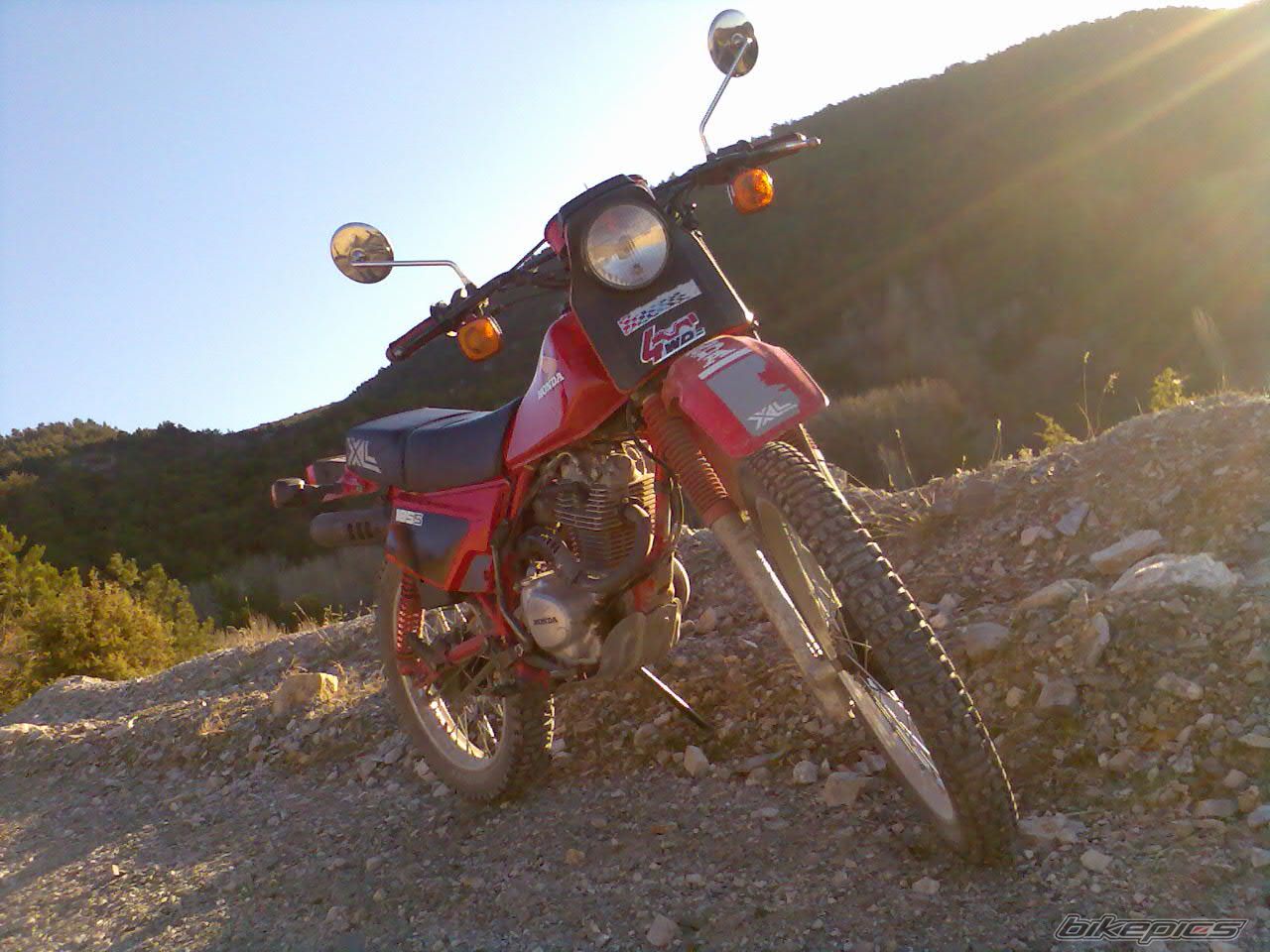 Photo 1218952