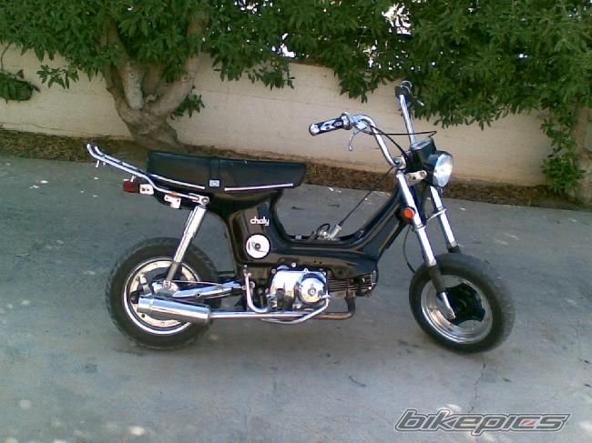Photo 1218982