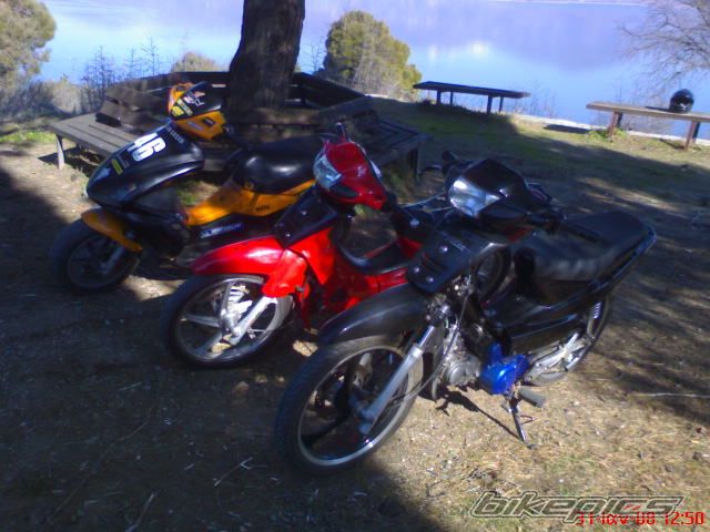 Photo 1219017