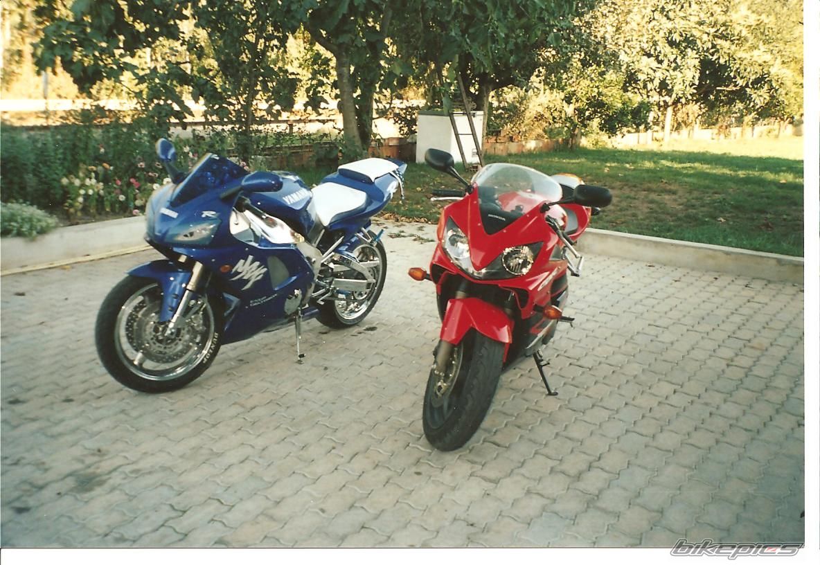 Photo 1219185