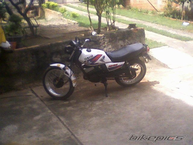 Photo 1219190