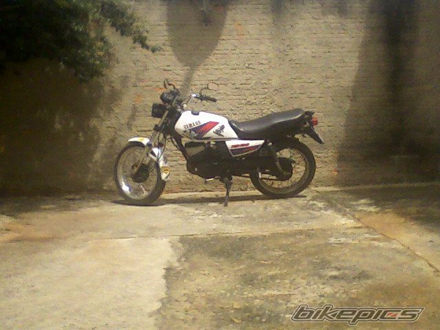 Photo 1219196