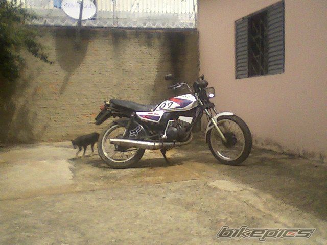 Photo 1219198