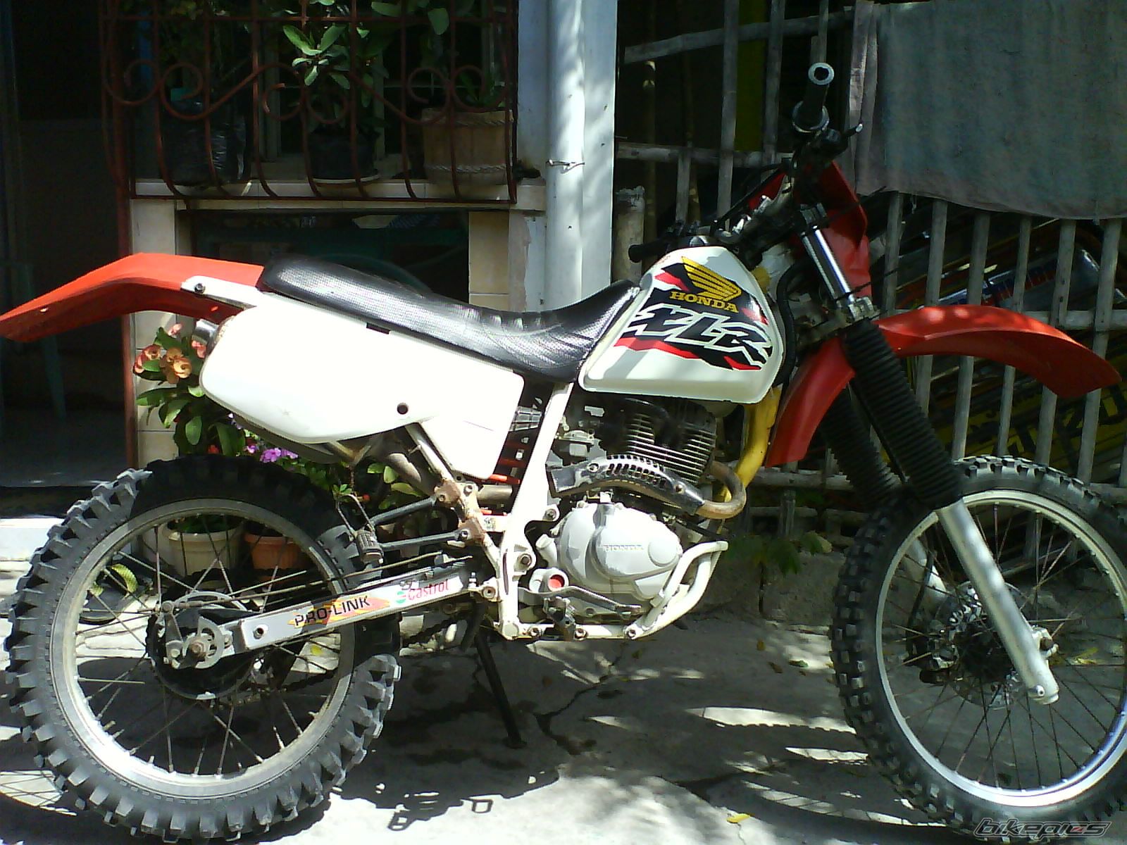 Photo 1219315