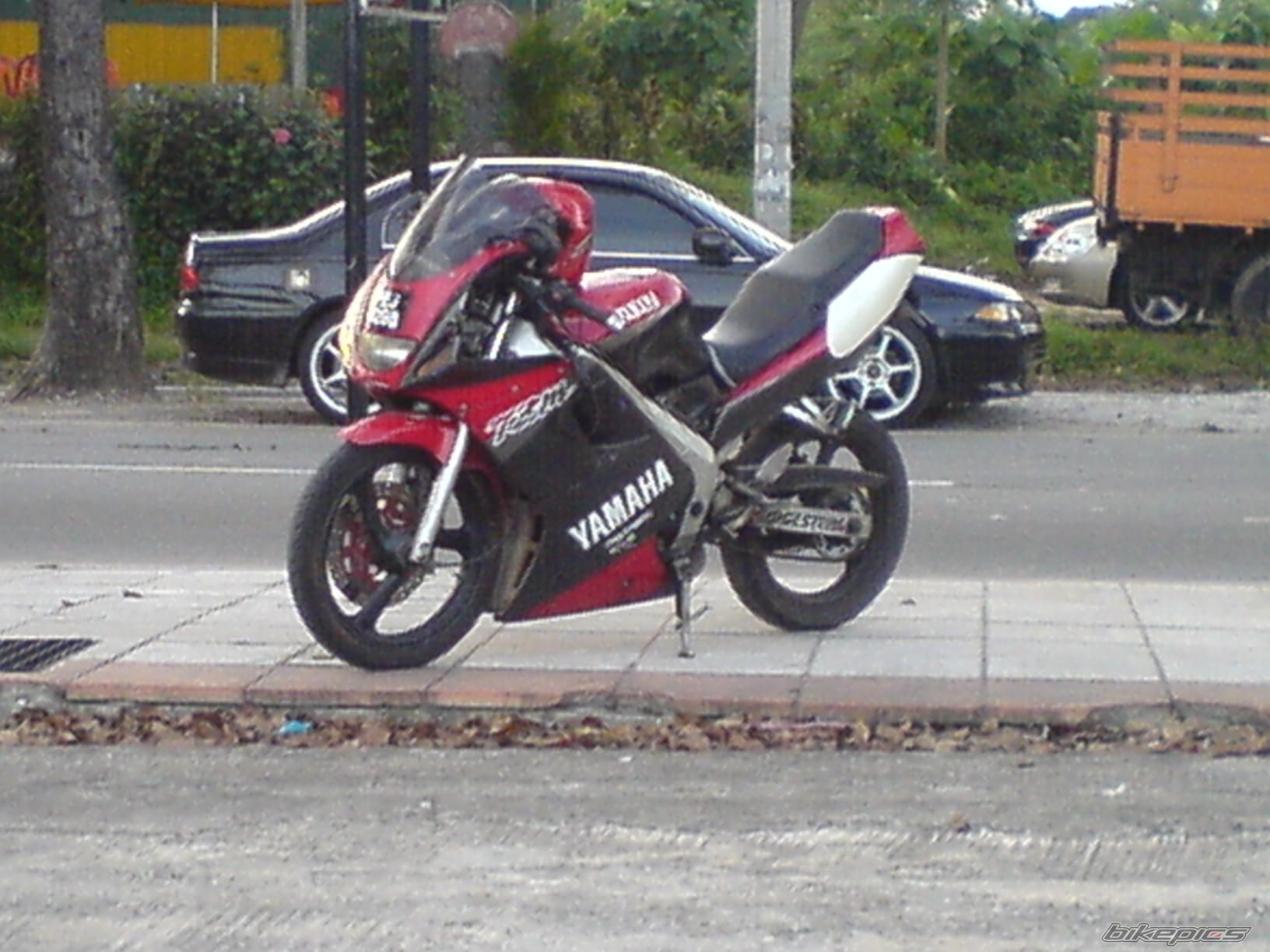 Photo 1219392