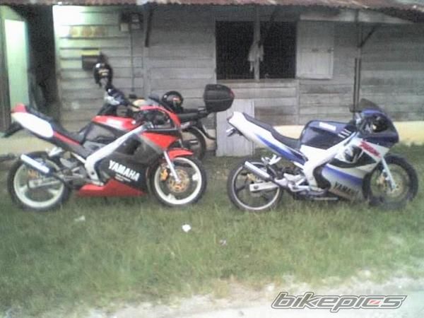 Photo 1219393