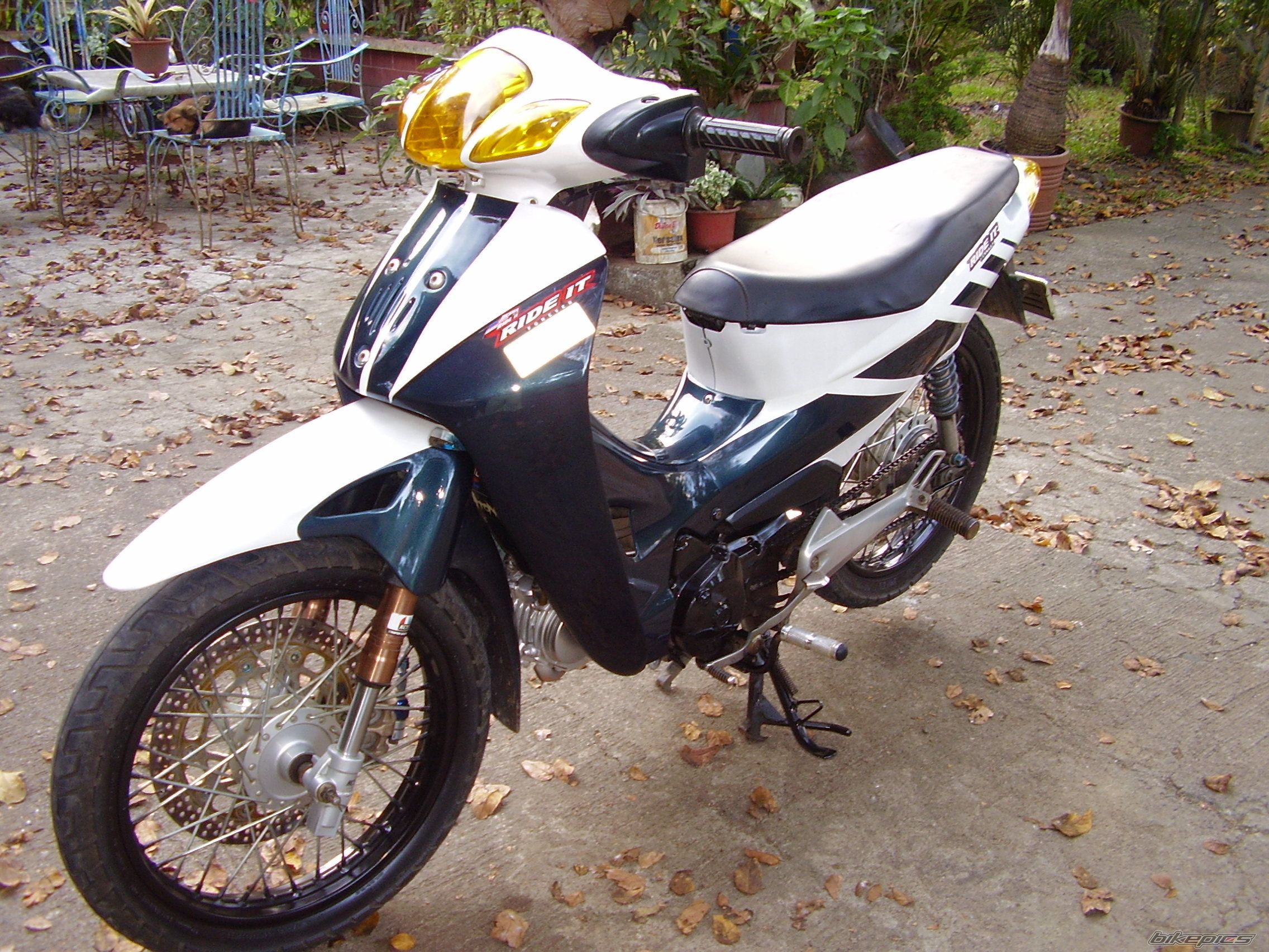 Photo 1219504