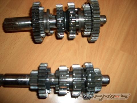 Photo 1219576