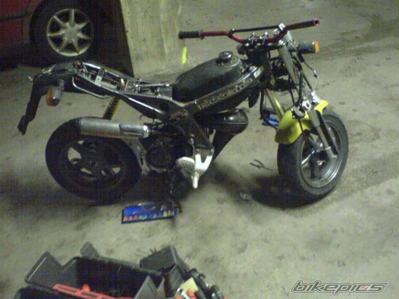 Photo 1219602