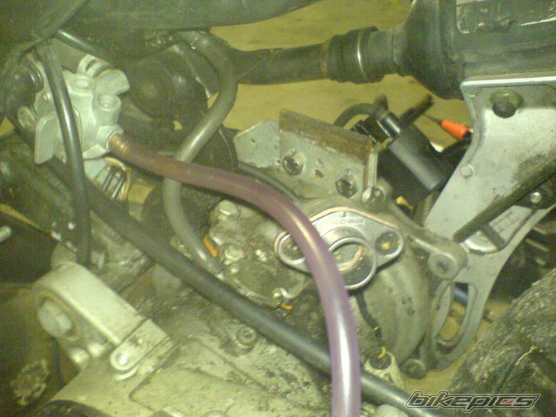 Photo 1219603
