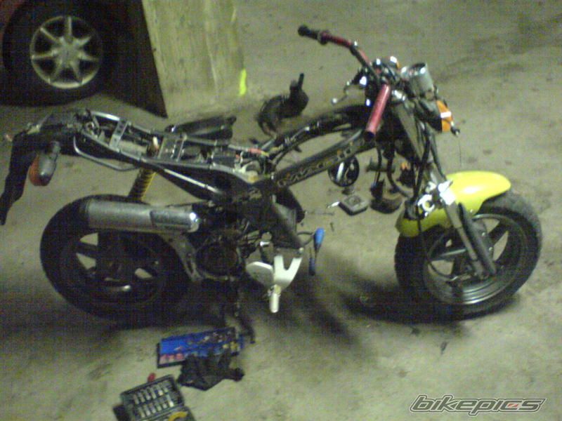 Photo 1219605