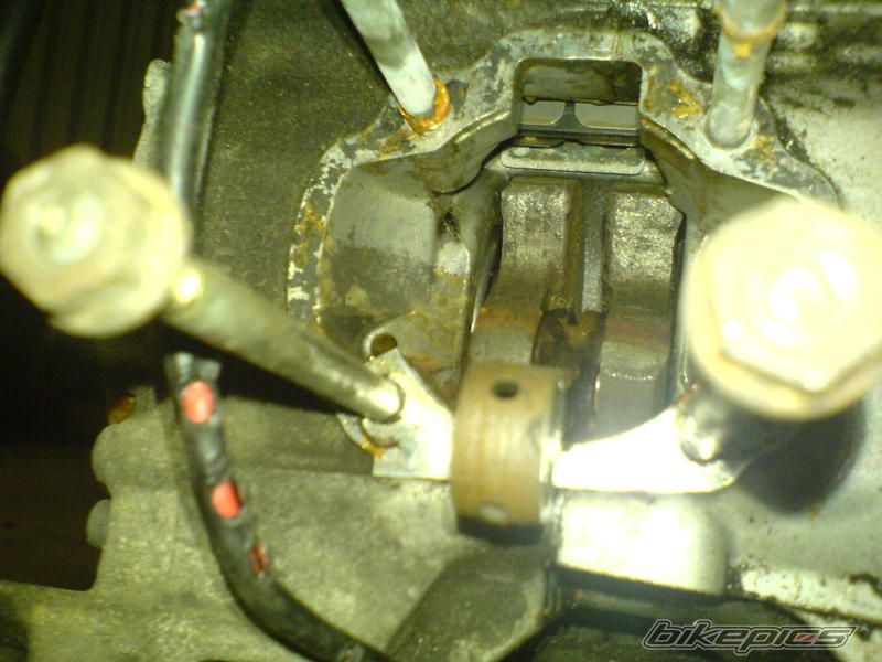 Photo 1219609