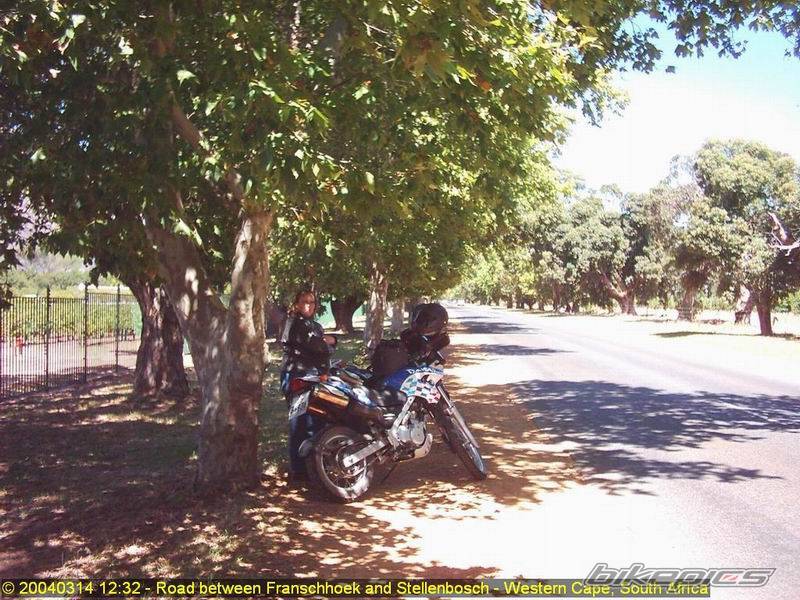 Photo 121975