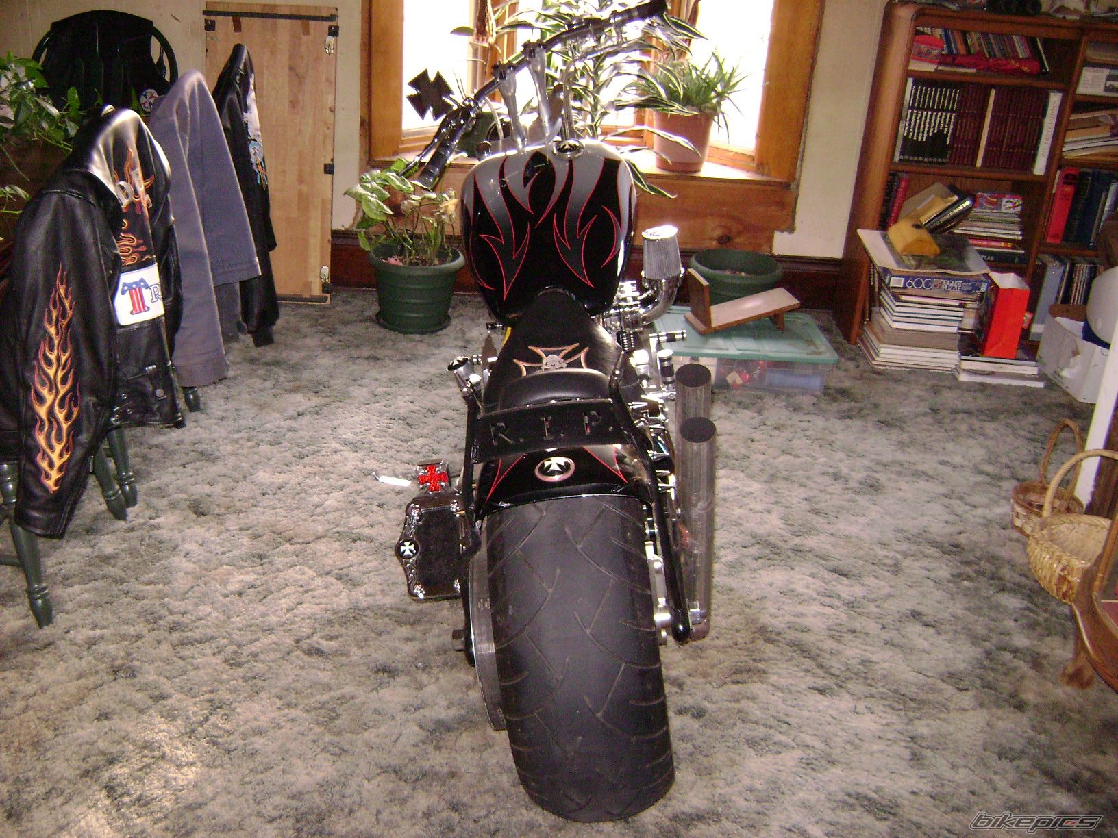 Photo 1219783