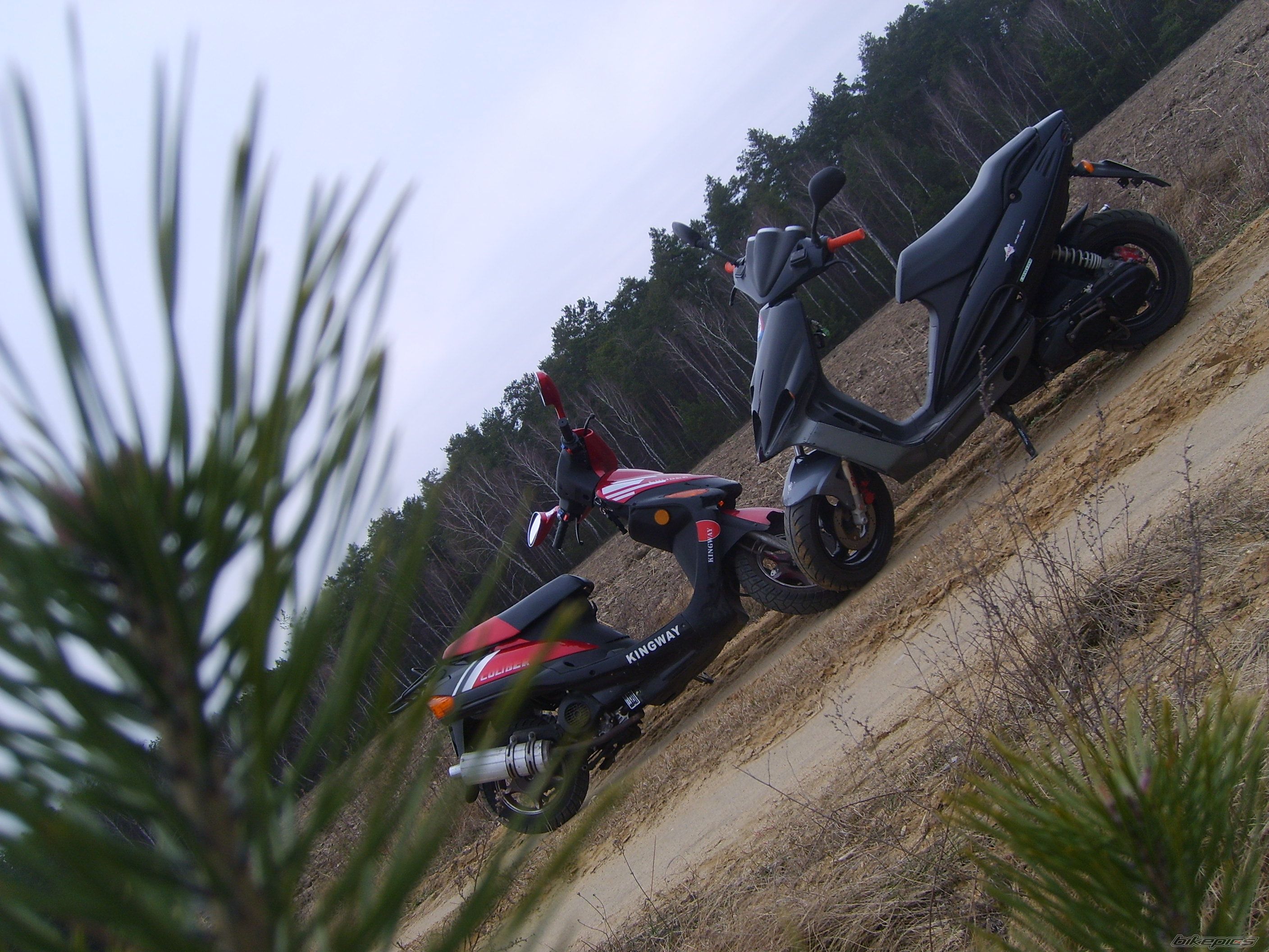Bike Photo 1219943
