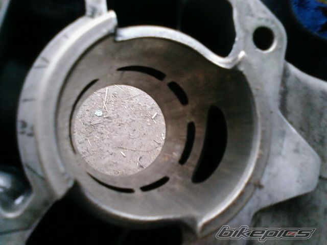 Photo 1219977
