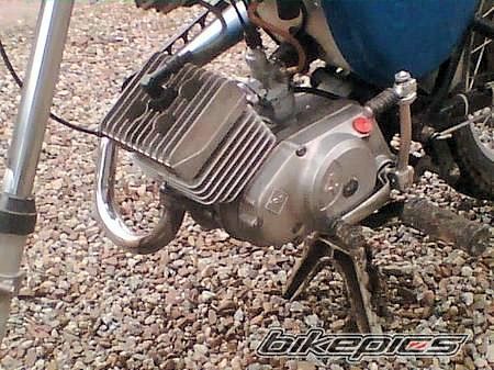 Photo 1219978