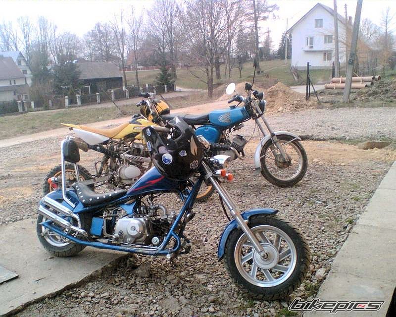 Photo 1219982