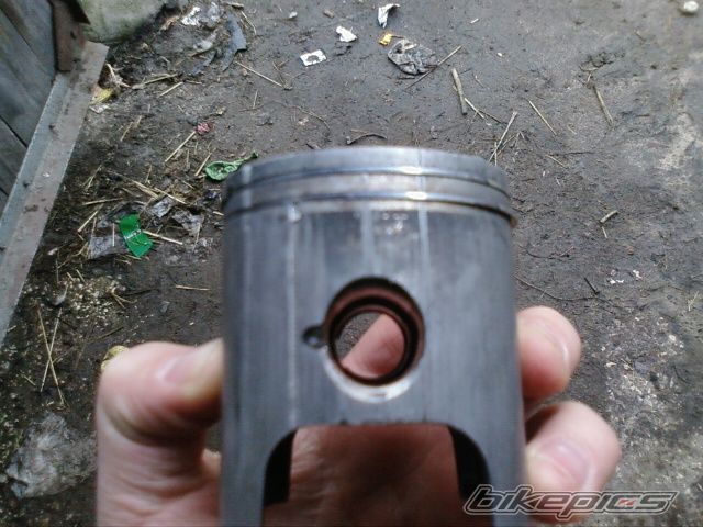 Photo 1219984