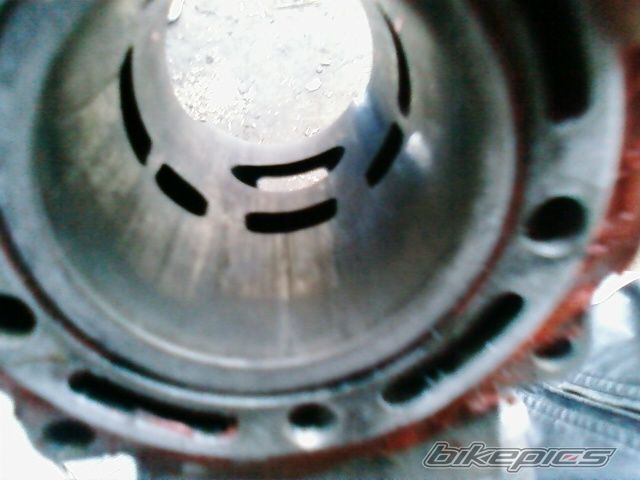 Photo 1219985
