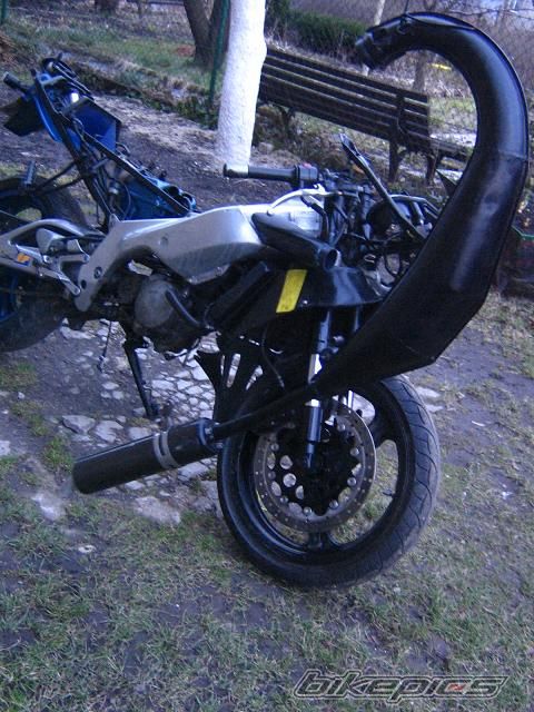 Photo 1220029